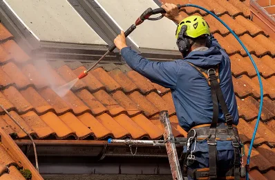 Démoussage et hydrofuge de toiture à Chambrecy